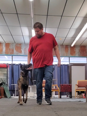Dog Training Classes in Houston, Texas