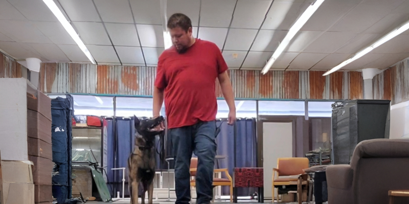 Dog Training